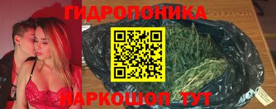 скорость Заволжье