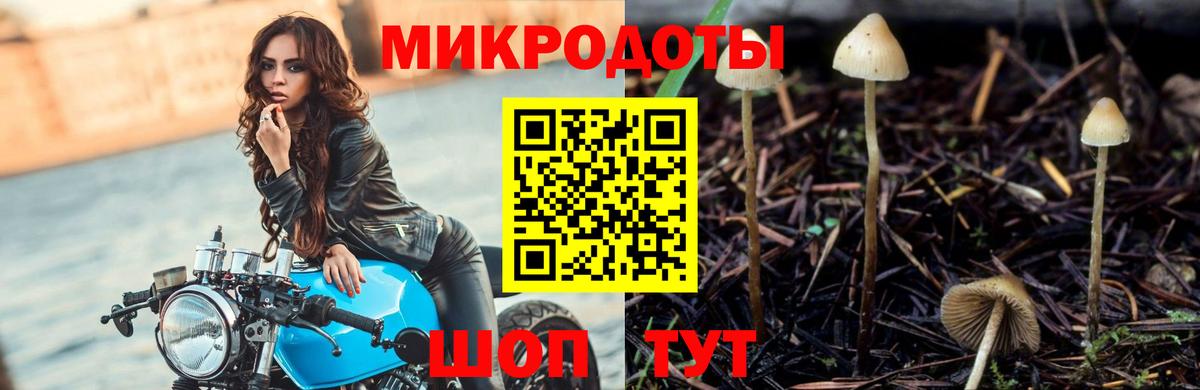 Псилоцибиновые грибы GOLDEN TEACHER  Вход с VPN  Михайловка 